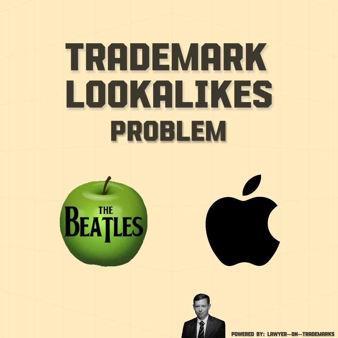 548749590_684852357948331_1483832906334376947_n